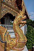 Chiang Mai - The Wat Phra Singh temple. The large Viharn Luang (main prayer hall) the guardians of the stairs shaped as a Naga coming out from the mouth of a Makkara. 